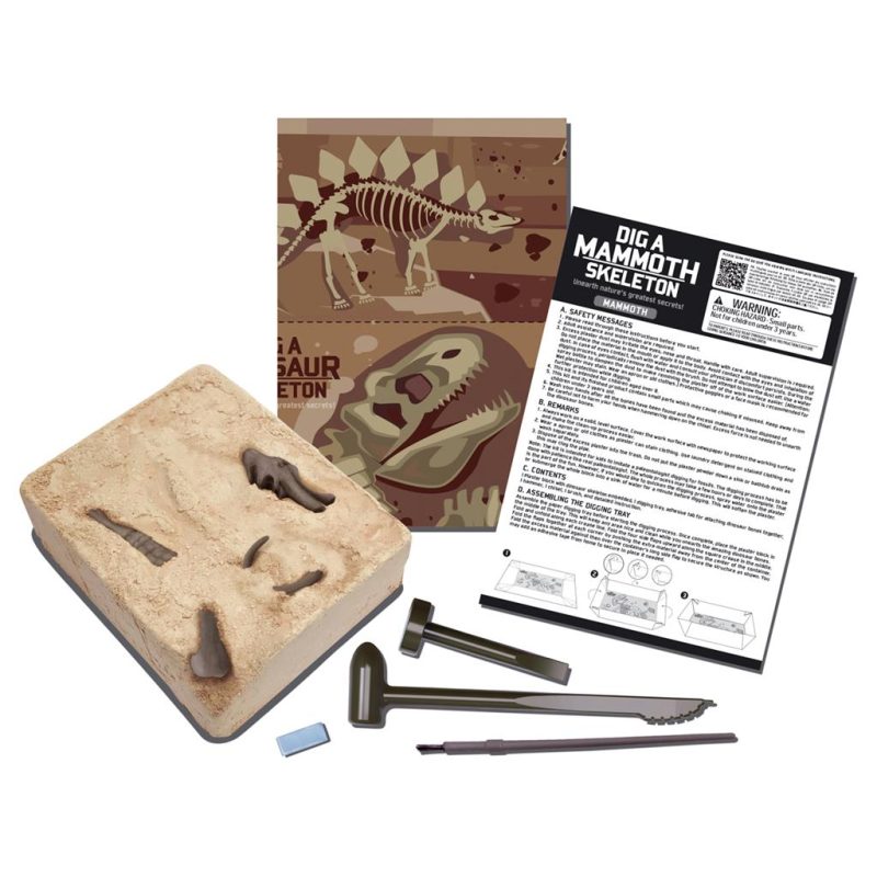 Kit de fouille déterre un squelette de dinosaure - Mammouth – Image 2
