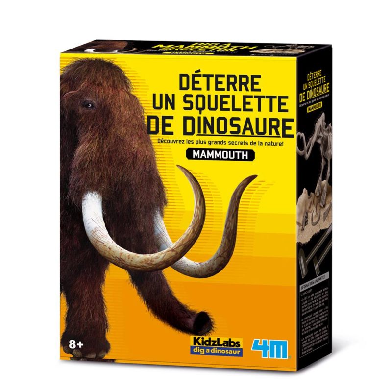 Kit de fouille déterre un squelette de dinosaure - Mammouth